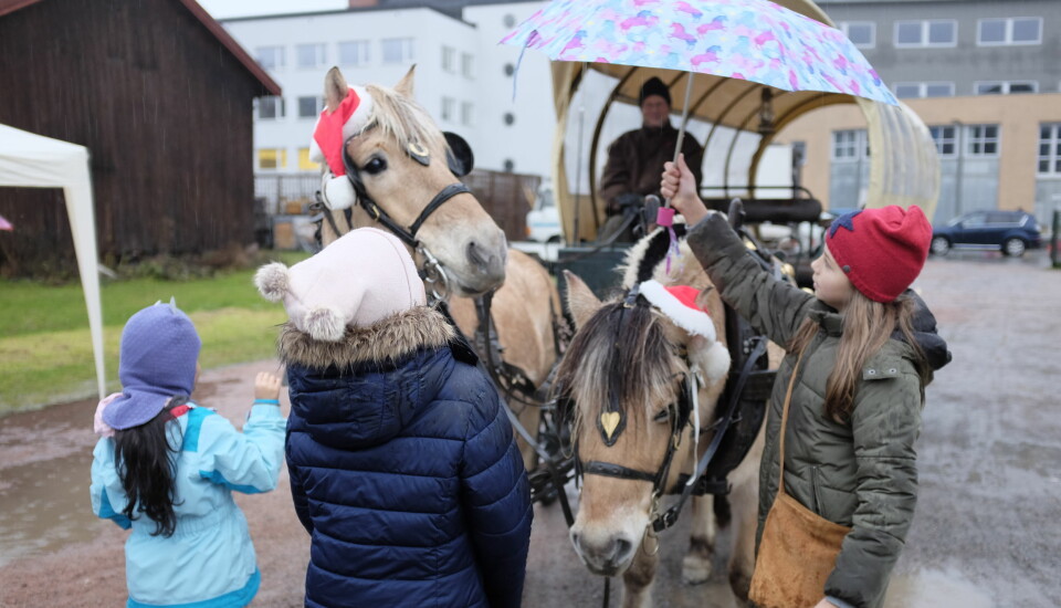 GØY FOR BARNA: Hest og kjerre står for tur, barna får klappe og kose hestene imellom rundene.FOTO: Anine Bjørnsen