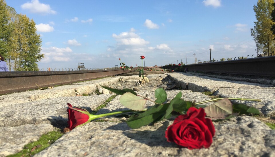 ROSESERMONI: Ved Auschwitz Birkenau blir det lagt ned roser fra besøkende over hele verden. FOTO: TONJE WAAL KARLSEN
