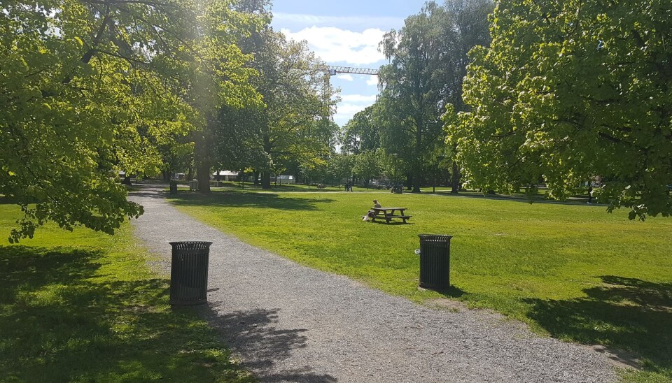 Solfylt, men rolig morgen i Sofienbergparken. Ikke vanlig med så lite folk her. Foto: 857587.