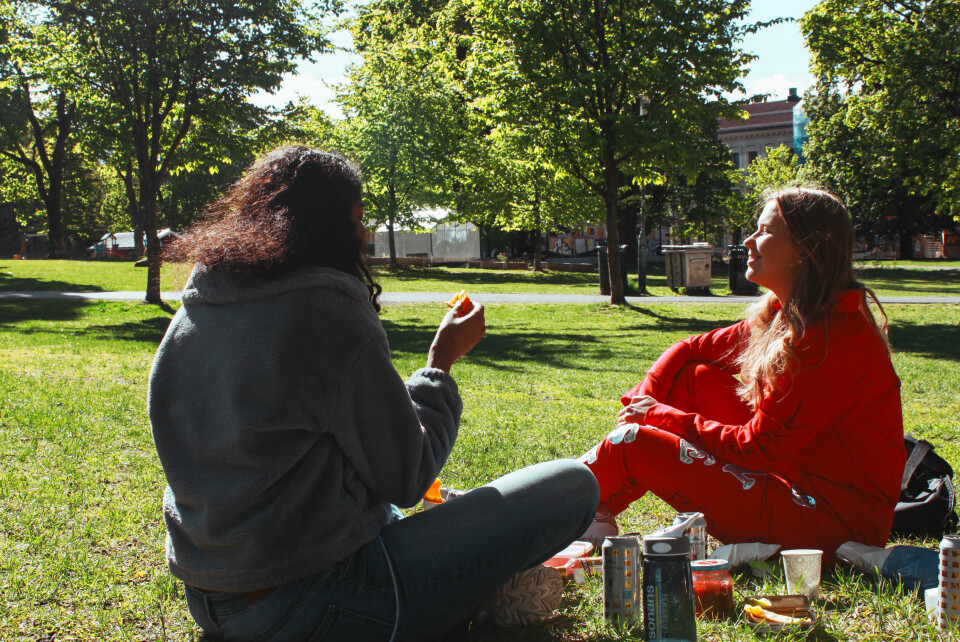 De to venninnene nyter solskinnet i Sofienbergparken med litt cider og frukt. FOTO: Hanne Nilsen Hallerud.