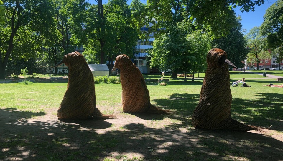 FINLURLIGHETER I PARKEN: Anna Widéns kunst har skapt engasjement i Sofienbergparken.