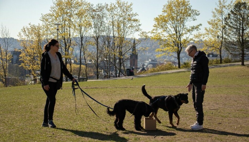 Hundeinstruktørene: Heidi Rowe (t.v) og Inger E. Berg (t.h) er hundeinstruktørene hos GoodDog St. Hanshaugen.