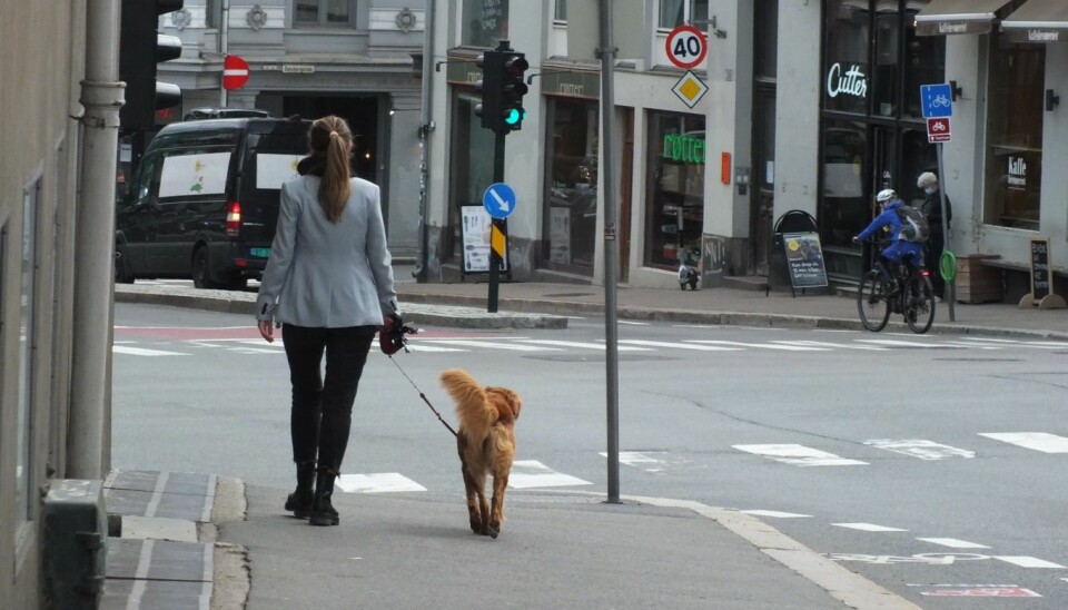 Uaktuelt å gå uten hundebånd: Anne Sofie (43) er fornøyd med miljøtiltakene, men skulle ønske det var flere tilbud til hundene.