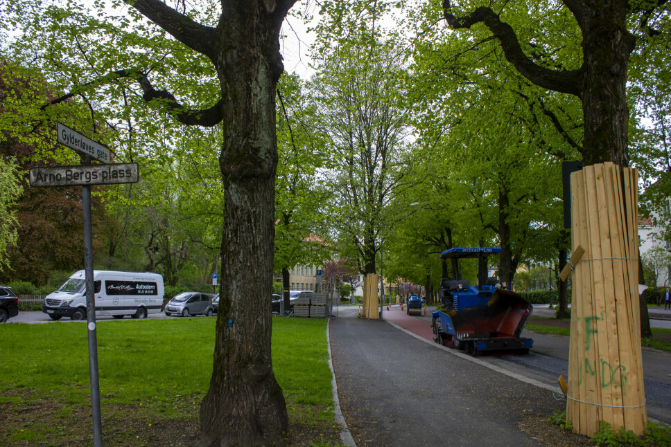 NY SYKKELVEI: Her legges det ny asfalt for den nye sykkelveien i Gyldenløves gate.