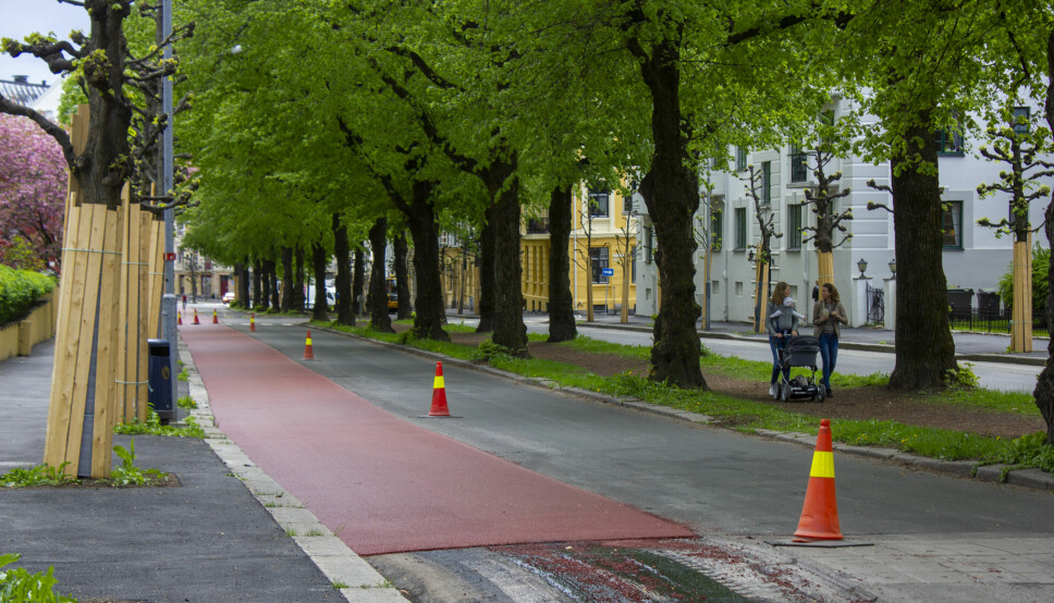 KAN SYKLE MELLOM TRÆRNE: Lokalbeboer Berit (55) mener Gyldenløves gate var en fin vei å sykle i fra før av, fordi man kan sykle mellom trærne.