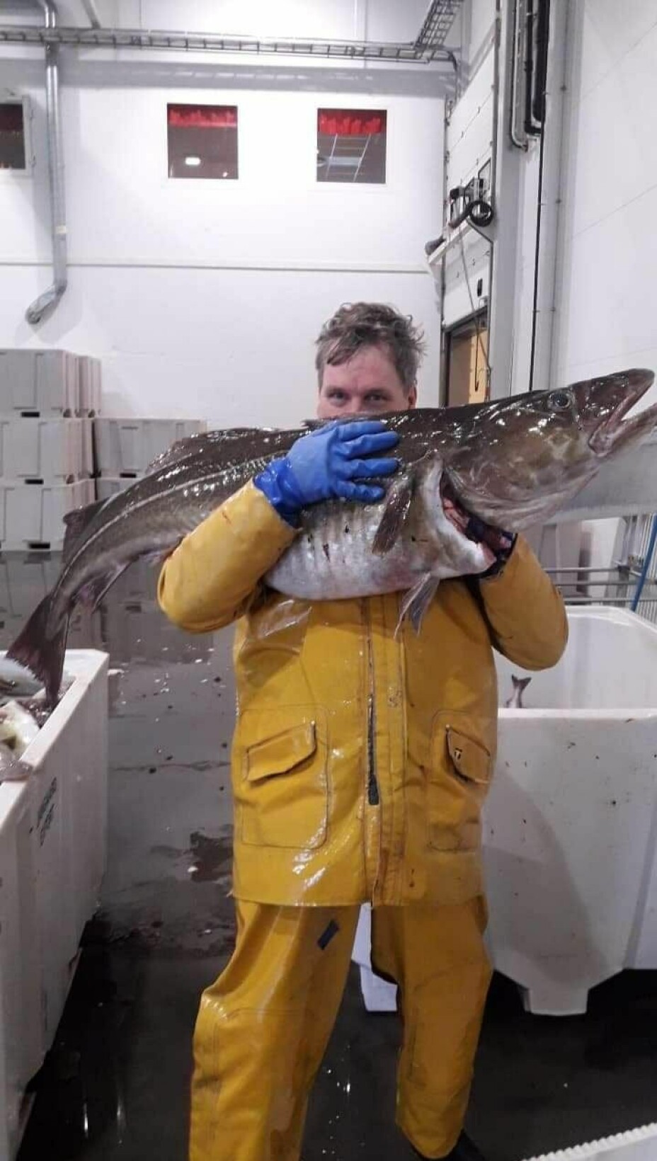 Per Skibstad sammen med den største fisken han har fanget oppe i Lofoten. En Skrei på 29 kilo.