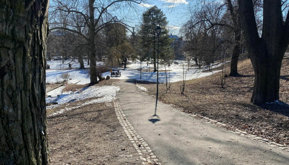 Parken på St. Hanshaugen