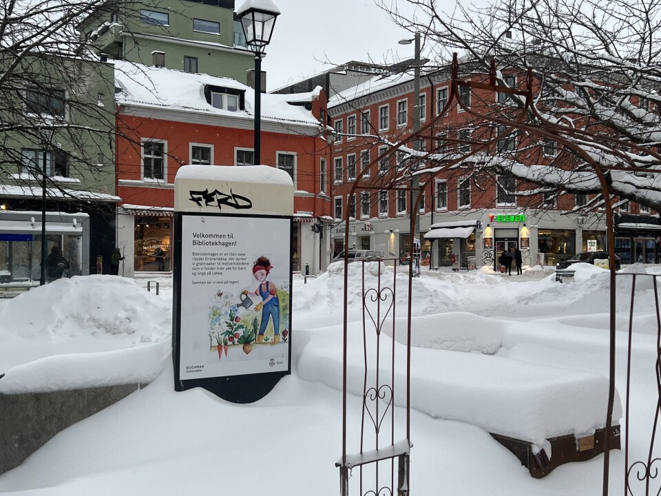Under snøen finner man bibliotekets egne urbane hage, midt på Schous plass.