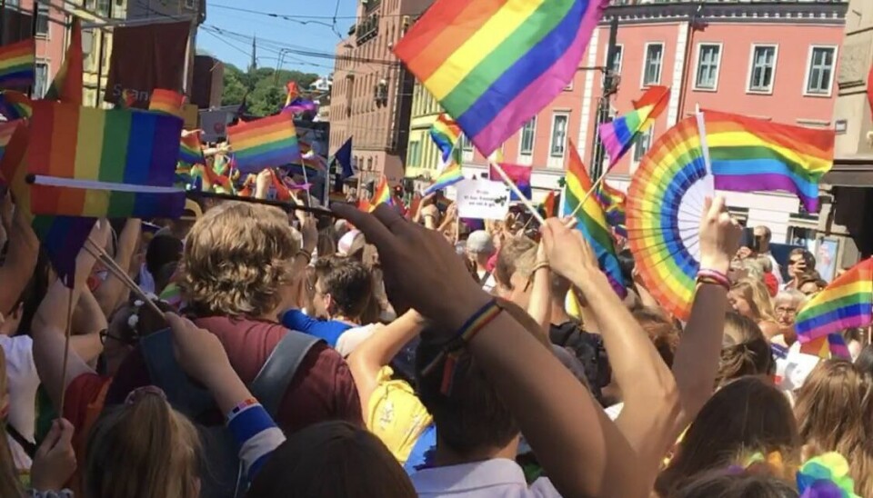 Gatefest: I fjor var det rekordmange mennekser som gikk i paraden, og besøkte Pride Park.