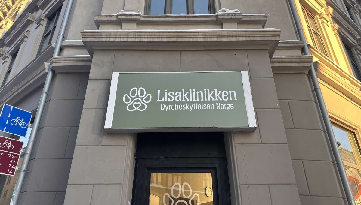 Desieth Tilbyr gratis dyreklinikk for vanskeligstilte