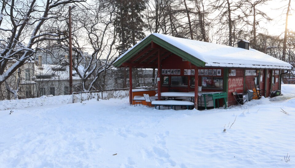 HUNDEPARKEN: Det er mindre støy for naboene rundt, men området forfaller og det er mindre liv i parken.