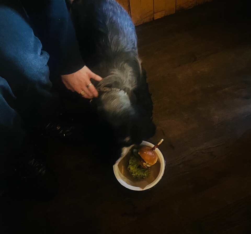 Hos Brewdog var det ikke bare god mat og hyggelig atmosfære, men de har også sin egen hundemeny med både bruger, is og øl til hunden din.
