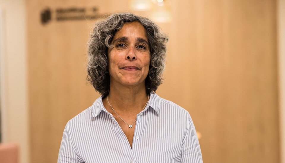 Fagdirektør i likestillings og diskriminineringombundet Mariette Lobo syntes ideen om å markere for eksempel «rasfare» med et bilde høres ut som en god ide.