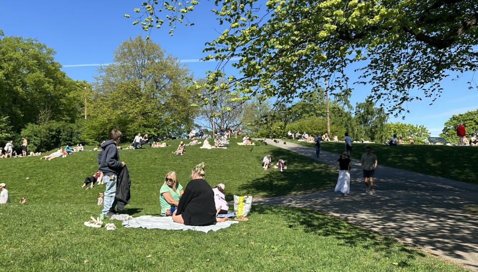 TIDLIG: I de tidlige morgentimene fra helga har folk begynt å strømme til parken, klare for en dag med sol og samvær.
