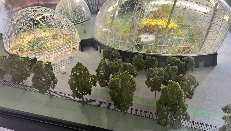 SLIK BLIR VEKSTHUSET: Det nye veksthuset vil bestå av tre hus. Her skal besøkende få mulighet til å gå inn, se, lukte og føle på de ulike klimaene som veksthuset tilbyr. Det står en utstilling i Botanisk Hage, hvor alle kan komme å se på modellen.