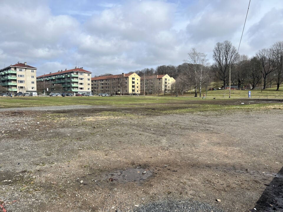 VEKSTHUSETS HJEM: Det er på dette området Veksthuset skal stå, som ligger rett utenfor Botanisk Hage på Tøyen. Inntil videre, står tomten tom.