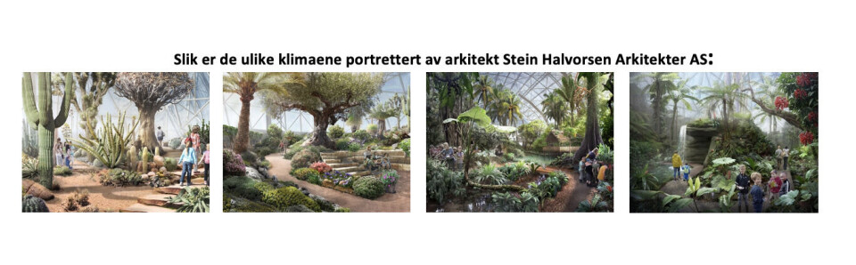 – Dumt å skylle 100 millioner ned i vasken