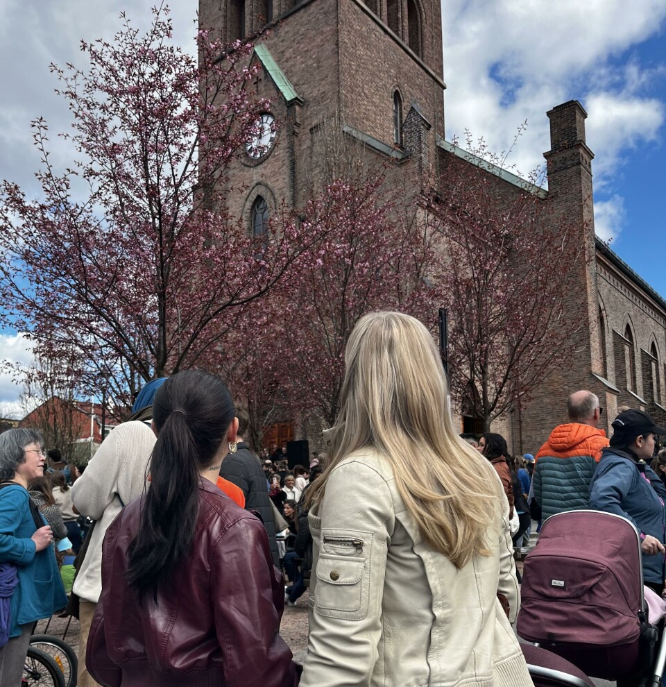 Kirsebærtrærne hadde ikke blomstret for fult enda, men Mia synter likevel de var nydelige.