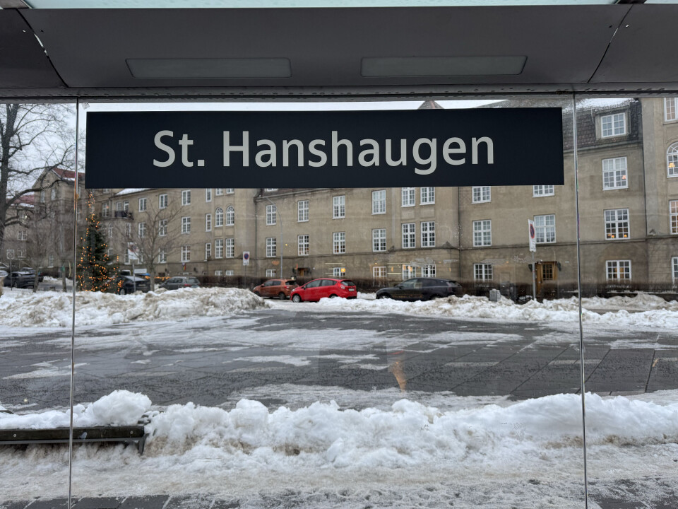 De Beste Opplevelsene På St. Hanshaugen