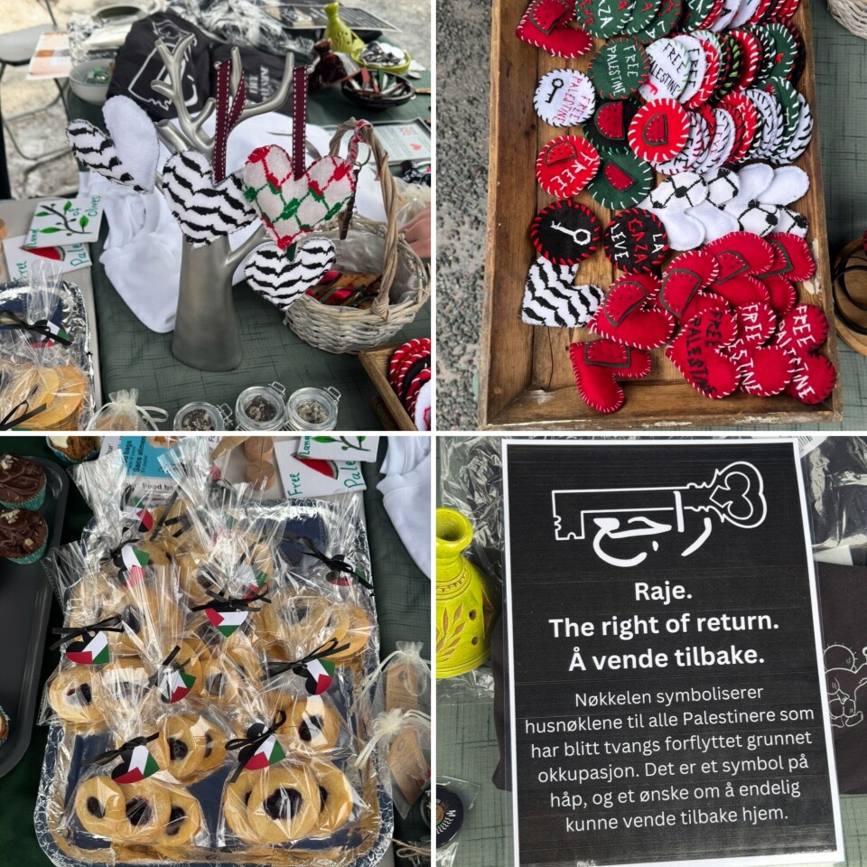 Spleis-aksjonen samler inn 50 000 kroner for å evakuere Mohammed fra Gaza. Familien hans lever under krevende forhold, og hver donasjon bringer dem nærmere trygghet.