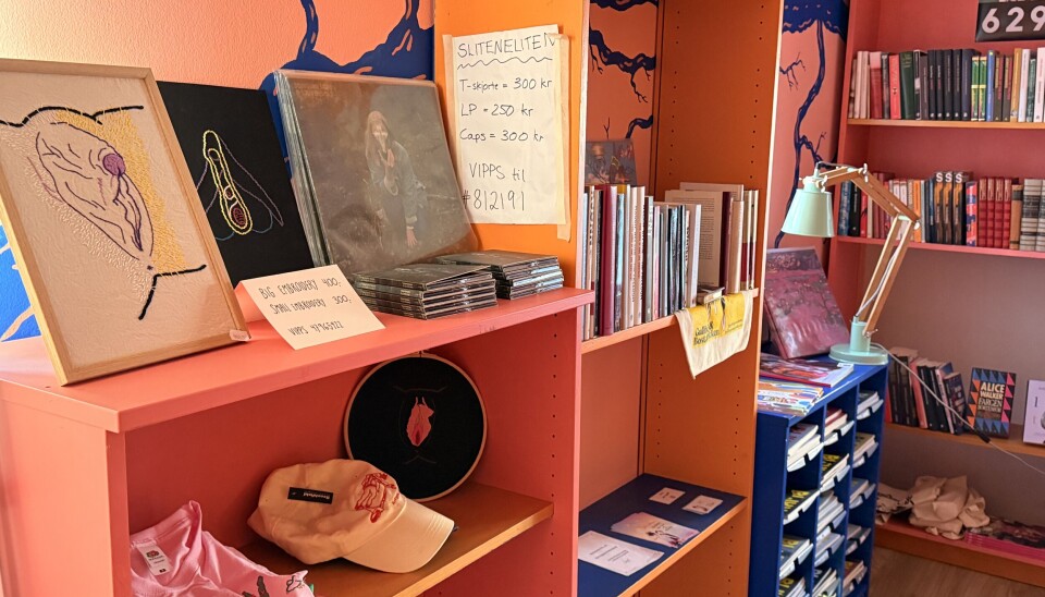 I BOKHANDELEN: Her utstilles og selges kunst og bøker med skeiv tematikk side om side, blant annet broderiet i ramme til venstre av Katrine Wegge Foto fra bokhandelen på SKOKS. Oransje og rosa vegger, med skeiv kunst