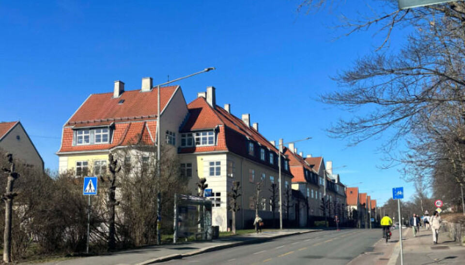 Foto: Kristina Thorheim Vik