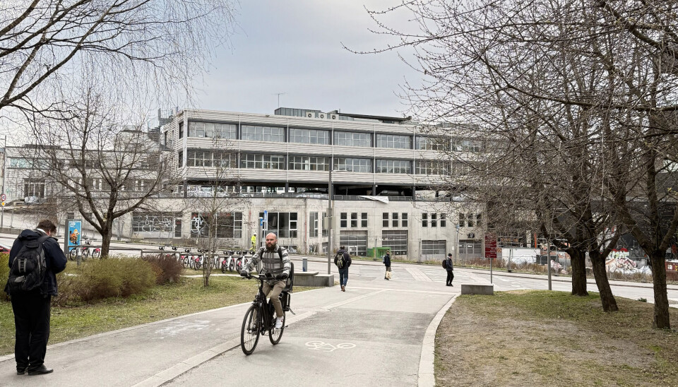 Her møtes turveien og tomten i en kryssing som kan bli farlig dersom trafikken øker.