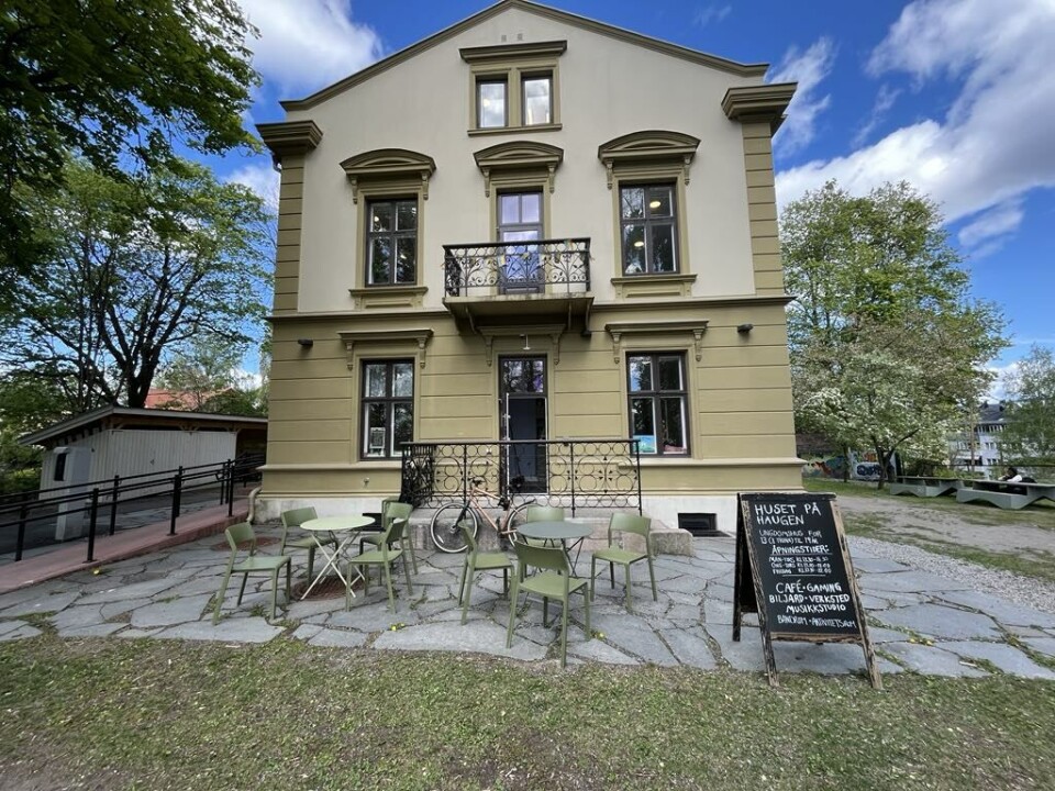 Her blir det festival!