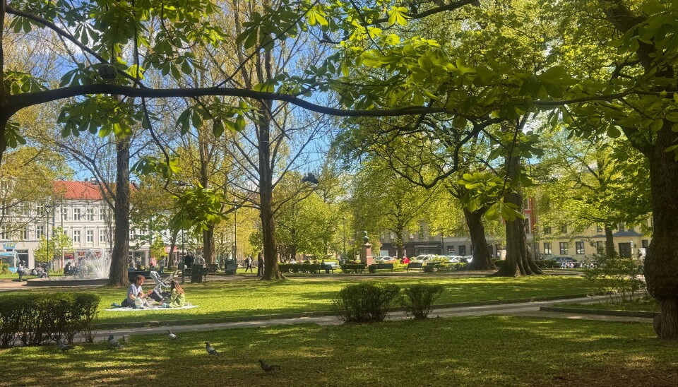 Bydel Grünerløkka jobber for å få flere ledere med minoritetsbakgrunn.