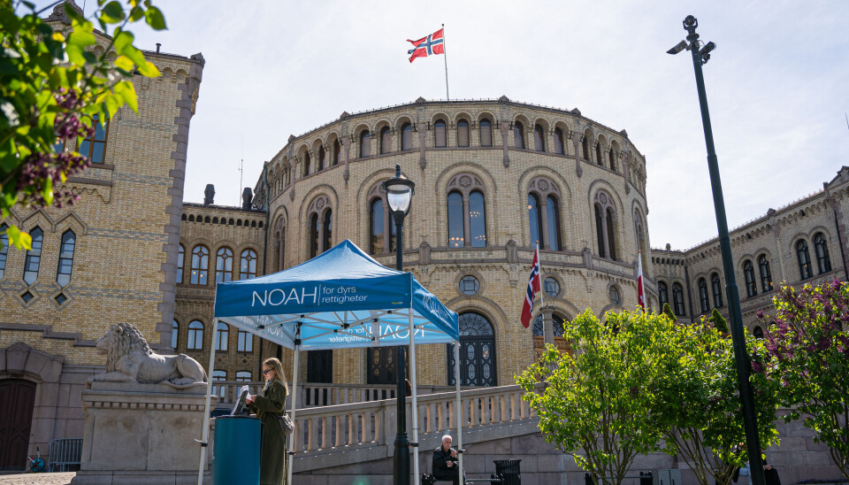 NOAH forran stortinget.